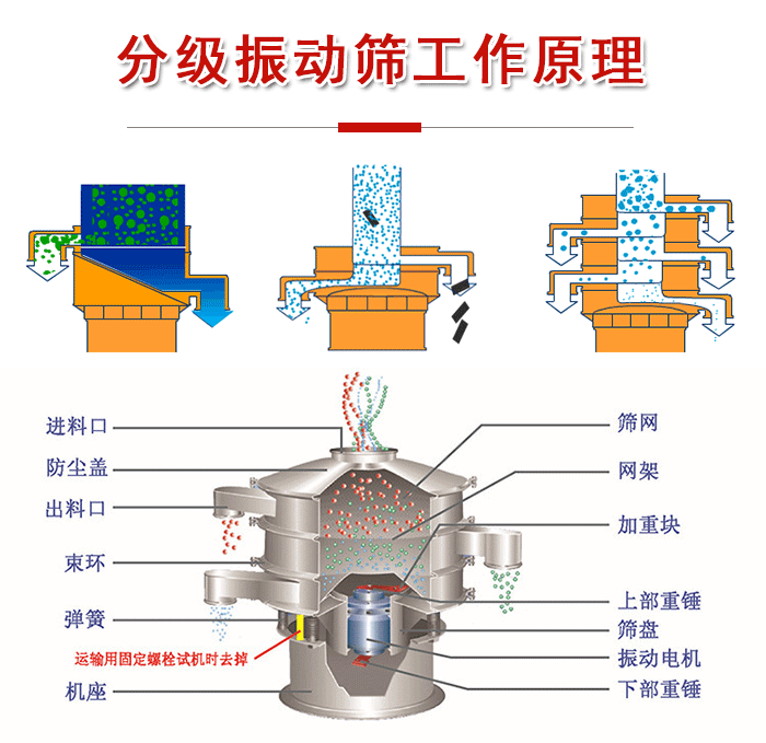 分級振動篩內部結構：進料口，防塵蓋，出料口，束環，彈簧，機座，篩網，網架，上部重錘，振動電機，下部重錘。